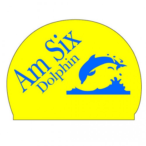 자체브랜드 AM Six Dolphin [단체/팀제작수모]